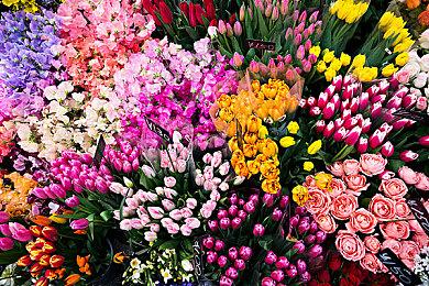 《战神：诸神黄昏》1.03首日升级档发布 修复多处bug